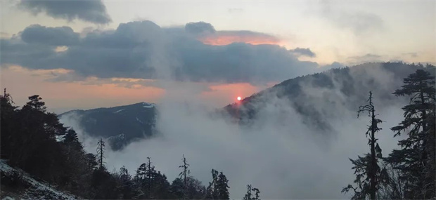 云南旅游,云南旅行社,云南團建公司,云南策劃公司,云南會議會展,云南旅游地接,麗江旅游,麗江旅行社,麗江團建公司,麗江策劃公司,麗江會議會展,麗江策劃執(zhí)行：山外有山，總要去一次麗江老君山九十九龍?zhí)栋?>
                            <!--<img src=